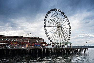 沟渠引水，烹饪制药！联机生存建造游戏《无径之林》将于4月3日发售